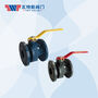  F800 Series Cast Iron Ductile Iron Ball Valve