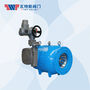 EV2000 Series Flow Regulating Valve