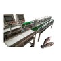 high quality seafood weighting sorting machine/Fish Grading Machine