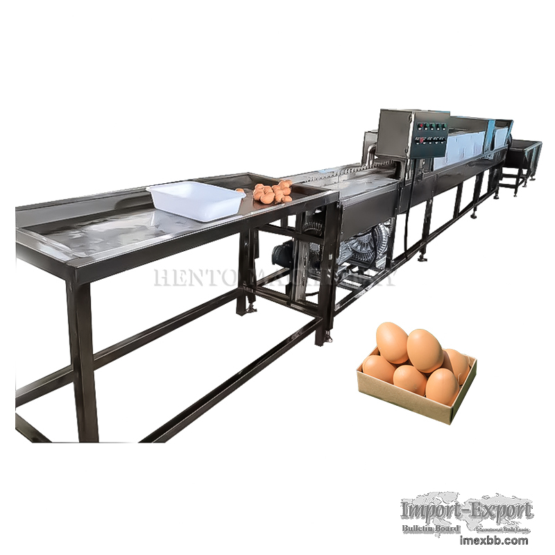 Automatic Egg Cleaner/Egg Washing Line