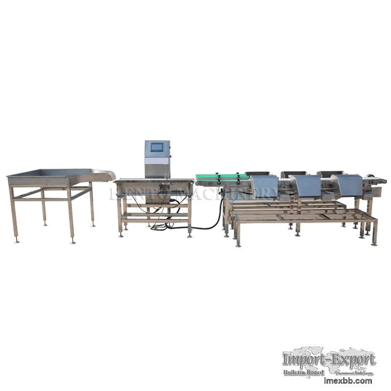 Chicken Grading Machine/Whole Chicken Grading Machine 