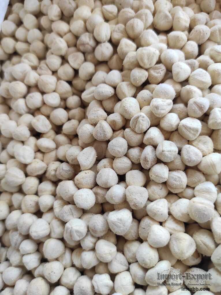 Moringa kernel (dry)