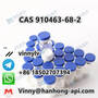 Sample Available Pure Powder CAS 910463-68-2 Semaglutide Large Stock