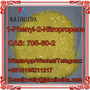 Factory Supply Best Prices 1-Phenyl-2-Nitropropene, P2np CAS 705-60-2 with 