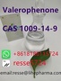 Valerophenone CAS 1009-14-9 Best Price In Stock