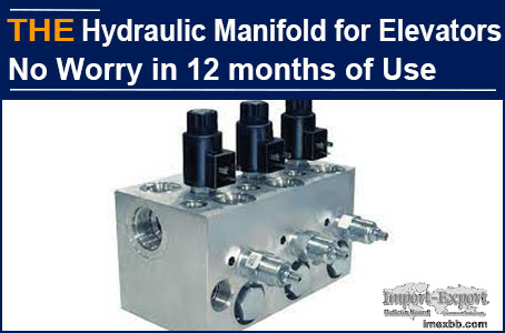 AAK Hydraulic Manifold for Elevators No Worry in 12 months of Use