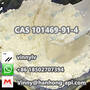N-Benzyl-(3S)-hydroxysuccinimide CAS 101469-91-4