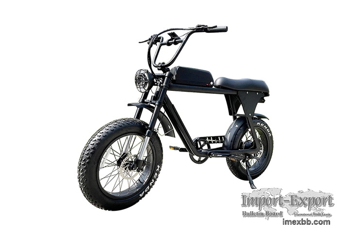 Moped Style Electric Bike