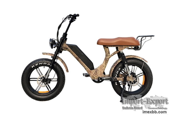 Step Through Fat Tire Electric Bike