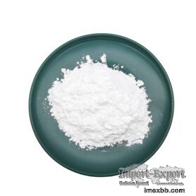 Lactase Enzyme Protein 