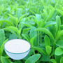 Best Stevia Extract Powder 
