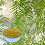 White Willow Bark Extract Powder