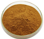 Devil’s Claw Extract Powder