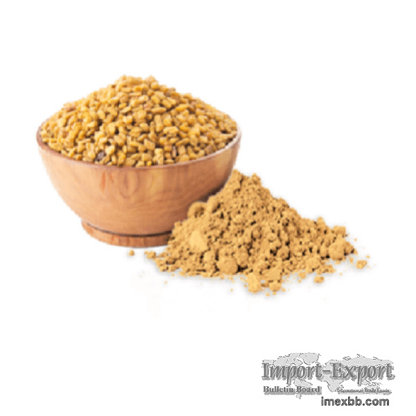 Fenugreek Seed Extract Powder