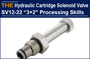 AAK Hydraulic Solenoid Cartridge Valve SV12-22“3+2”Processing Skills