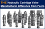 Hydraulic Cartridge Valve Manufacturer AAK difference from its Peers