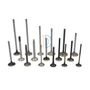 All Kinds Of High Quality Engine Valves