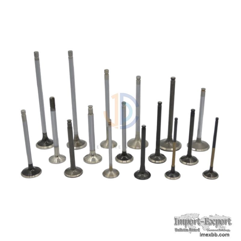 All Kinds Of High Quality Engine Valves