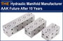 Chinese Hydraulic Manifold Manufacturer AAK Future 10 Years Later