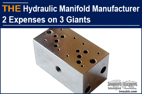 Chinese Hydraulic Manifold Manufacturer 2 Expenses on 3 Giants