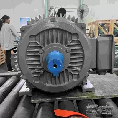 Accurate Braking High Efficiency Electric Motor With ISO9001