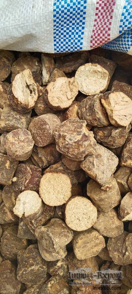 GAMBIER Booch (Catechin)