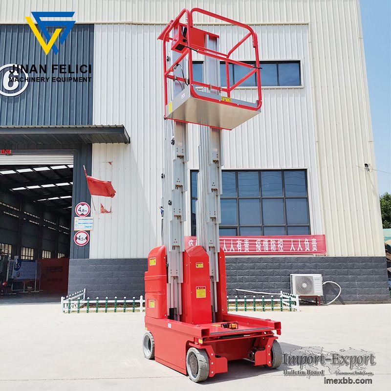 Full Self-propelled Mast Type Aerial Working Platform (Double Mast)