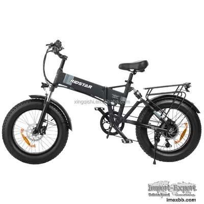Customizable Fat Tire Hunting Electric Bikes 750Watt For Office Lady