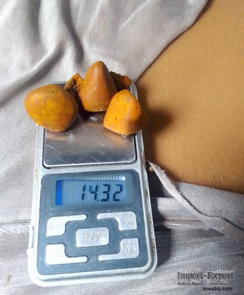 Ox Cow Gallstones For Sale 