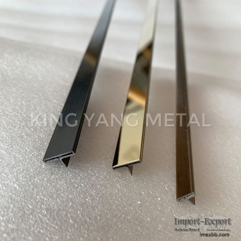 Stainless Steel T Profile / Patti