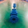 DN250 DN350 DI Gate Valve Ductile Iron PN16 Gate Valve Flange Type