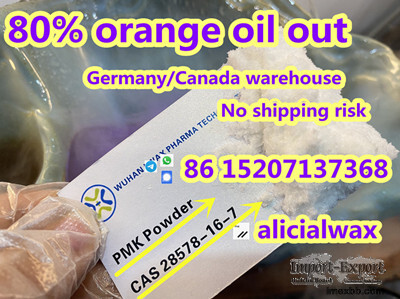 Europe stock pmk precursors white pmk powder CAS 28578-16-7