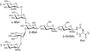 Glycosylation Peptides