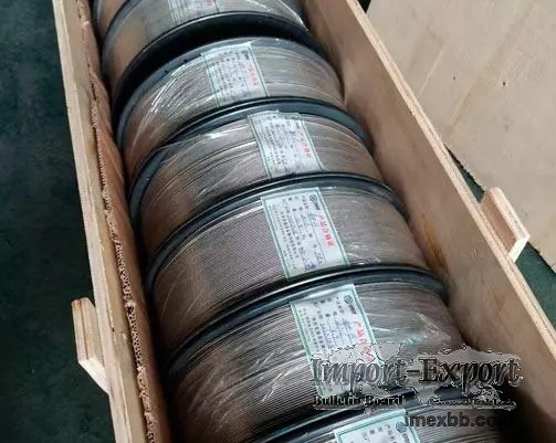 Molybdenum Electrode