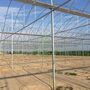 Multi-span Greenhouse