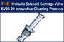 AAK Hydraulic Solenoid Cartridge Valve SV08-20 Innovative Cleaning Process