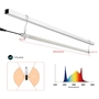 Interlight Greenhouse LED Grow Light For High Wire Crops Boost Yield