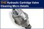 AAK Hydraulic Cartridge Valve Cleaning Micro Details