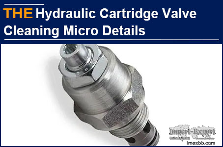 AAK Hydraulic Cartridge Valve Cleaning Micro Details
