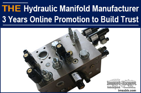 Hydraulic Manifold Manufacturer 3 Years of Online Promotion to Build Trust