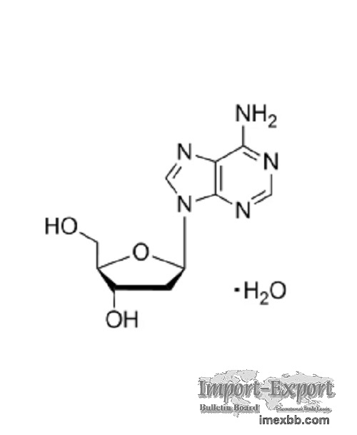 2'-Deoxyadenosine Monohydrate CAS No. 16373-93-6 Wholesale