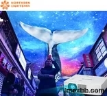 Northern Lights Holographic Projection Sky Screen Immersive Projector For M