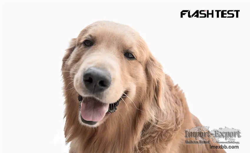 Canine N-Terminal B-Type Natriuretic Peptide (cNT-proBNP) Test Kit