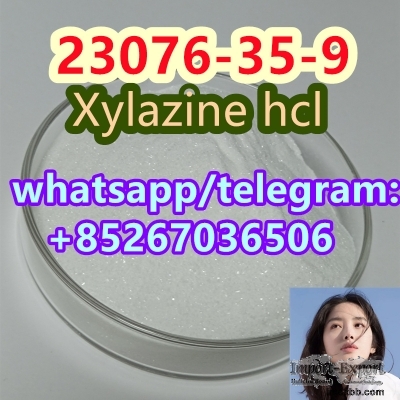 Organic materials 23076-35-9 Xylazine hcl