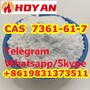 CAS 7361-61-7 Xylazine Powder China Vendor
