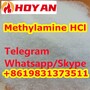 CAS 593-51-1 Methylamine Hydrochloride Methylamine HCl China Vendor