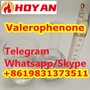 CAS 1009-14-9 Valerophenone Liquid China Vendor