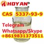 CAS 5337-93-9 4'-Methylpropiophenone Liquid China Vendor