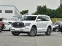  3.0T SUV Petrol Cars Sports Version Tank 500 2023 Built With 7 Seats White