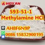 CAS 593-51-1 methylamine hydrochloride for synthesis